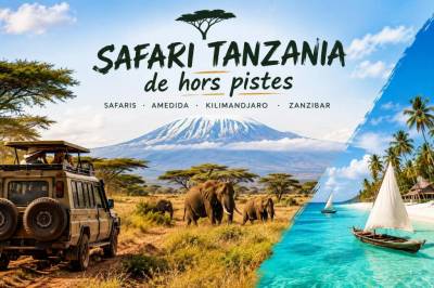Safari tanzania de hors pistes: safaris a medida kilimandjaro y zanzibar