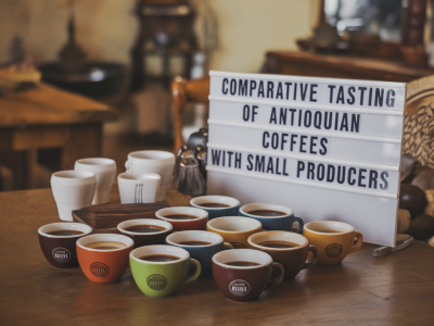 Cómo organizar una degustación comparativa de cafés antioqueños con productores pequeños: pasos y preguntas clave